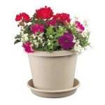Garden Planters, Flower Pots & Window Boxes