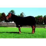 Weaver Blankets, Sheets & Coolers