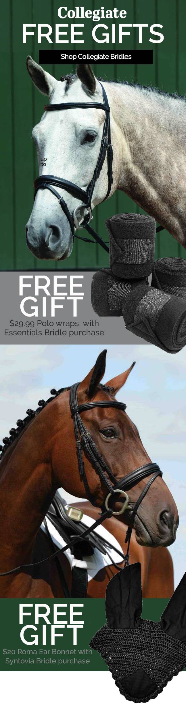 Collegiate Bridle Sale - FREE Gift with Select Bridles