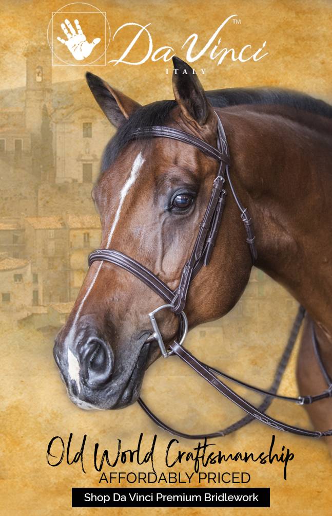 Da Vinci Bridlework >>>> Old World Craftsmanship Affordably Priced