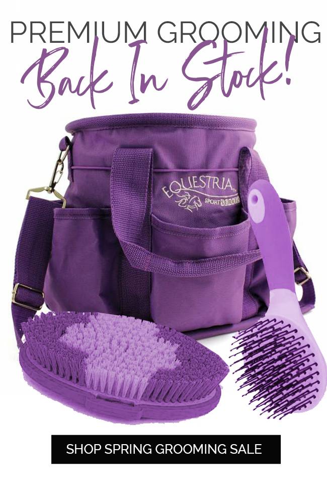 Back in Stock Premium Brushes Now Available