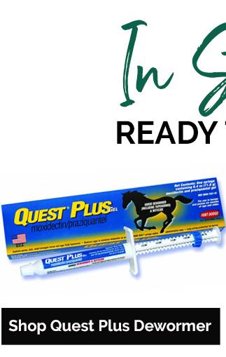 Quest Plus