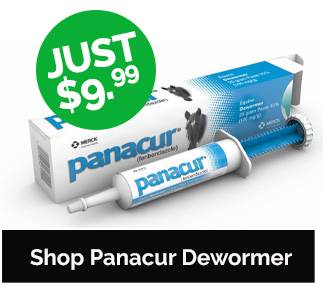 Panacur Dewormer