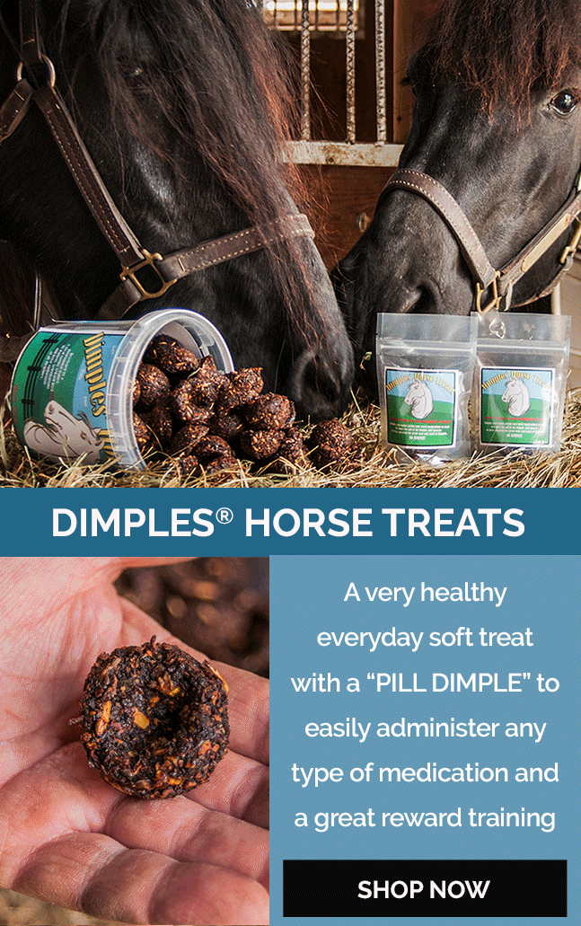 Dimples® Horse Treats