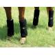 Classic Equine Stress Guard Leg Wraps