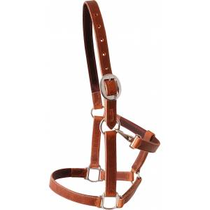 Martin Harness Leather Halter - Brown