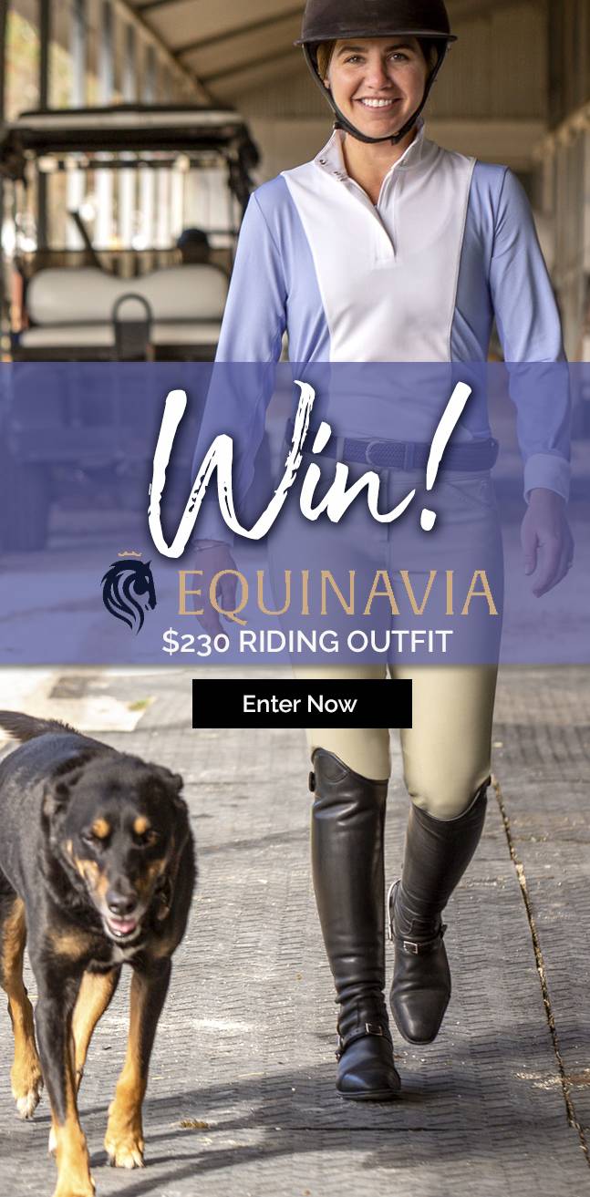 Equinavia Outfit Valued $230