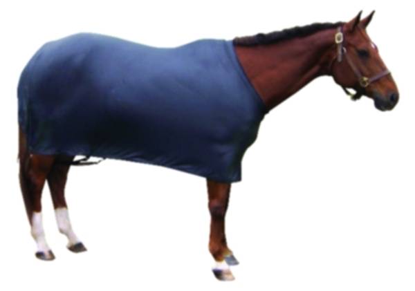 Sleazy Lycra Sheet