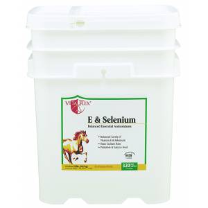 E And Selenium