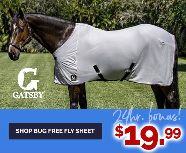 Basic Fly Just $19.99