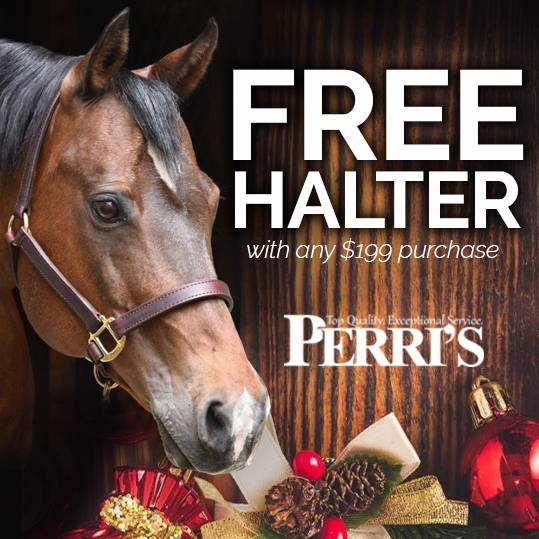 FREE Perri's Premium Leather Halter