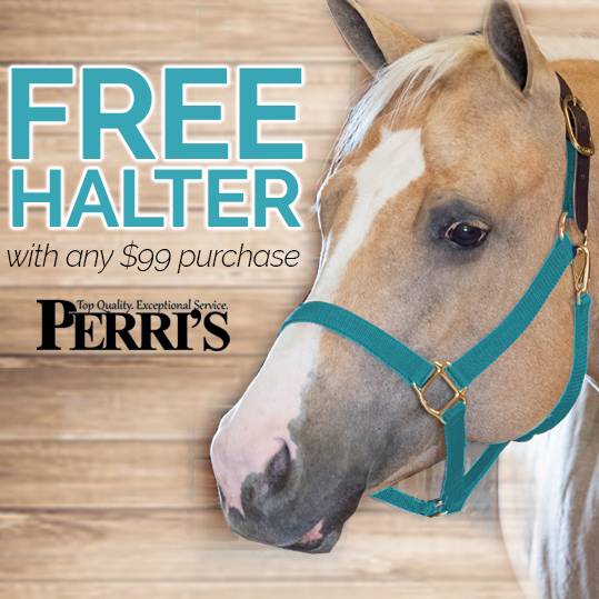 FREE Perri's Nylon Halter with any $99 Purchase
