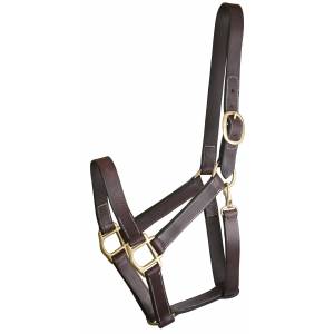 Gatsby Track Style Leather Turnout Halter with Snap - Oversize