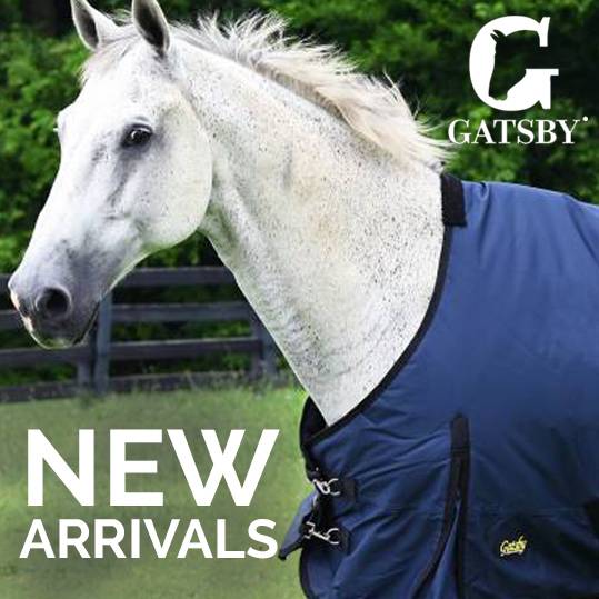 NEW Arrivals!   Gatsby Horse Clothing Deals