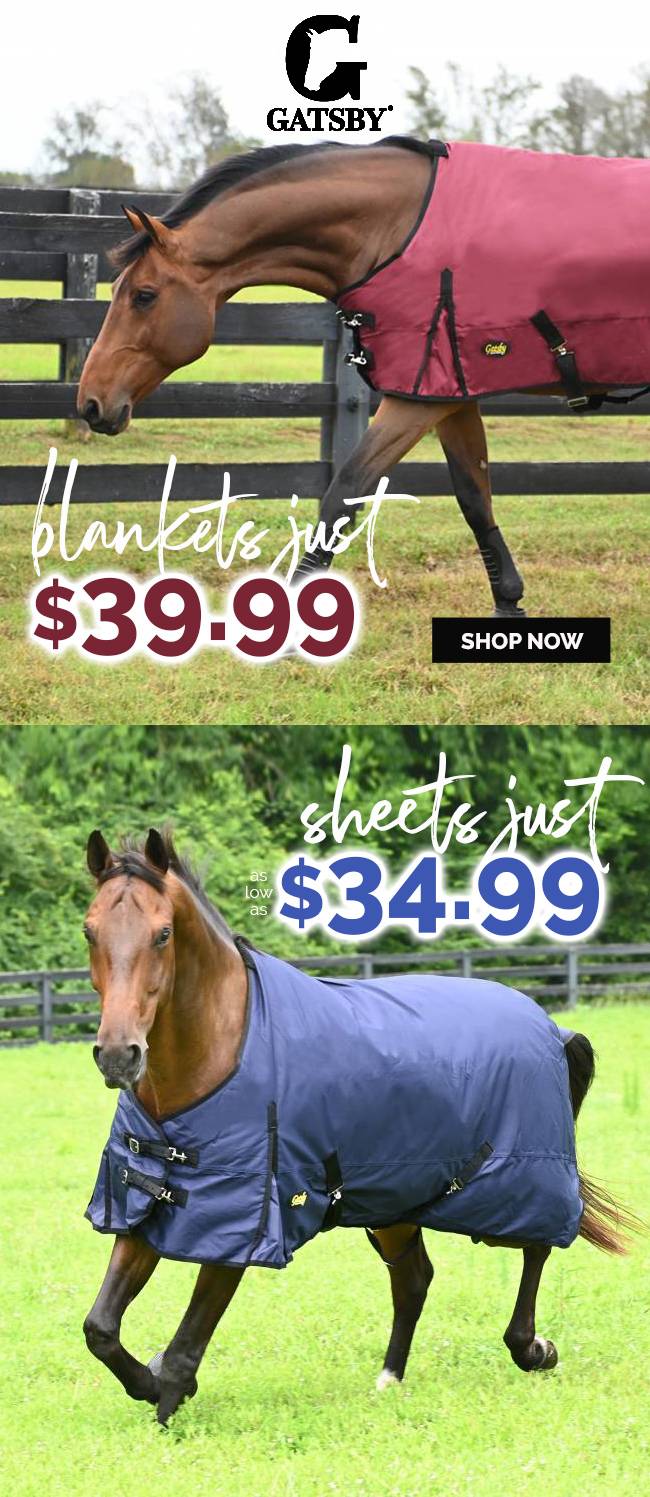Last Year's Styles Must Gooooo! Turnouts as low as $34.99