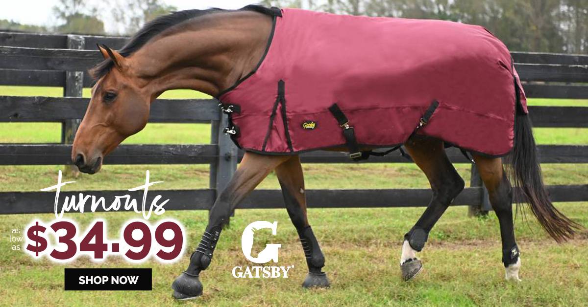 Last Year's Styles Must Gooooo! Turnouts as low as $34.99