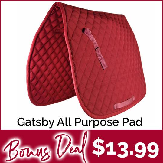 Gatsby Basic All-Purpose Saddle Pad Just $13.99