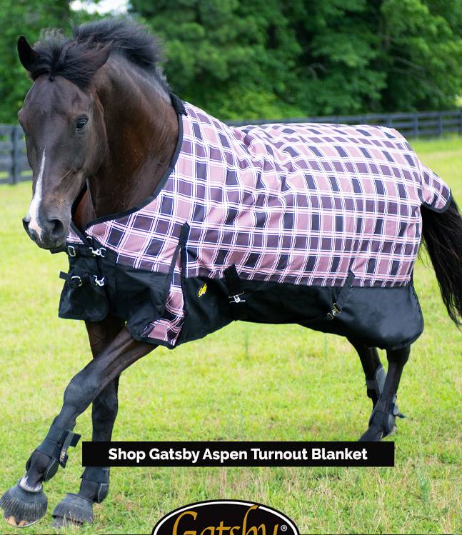 Gatsby Aspen Waterproof Turnout Blanket