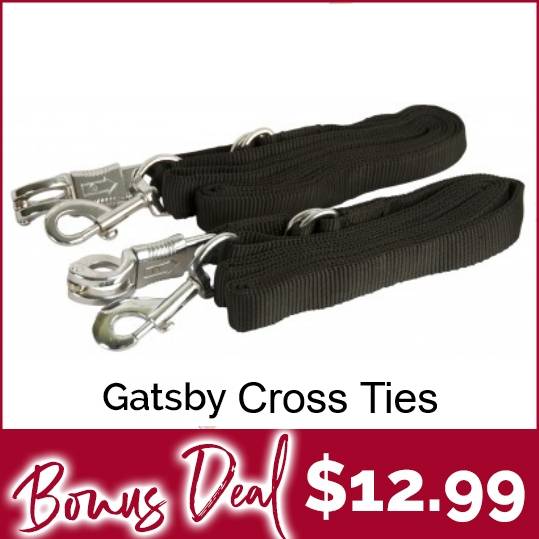 Gatsby Cross Ties Just $12.99