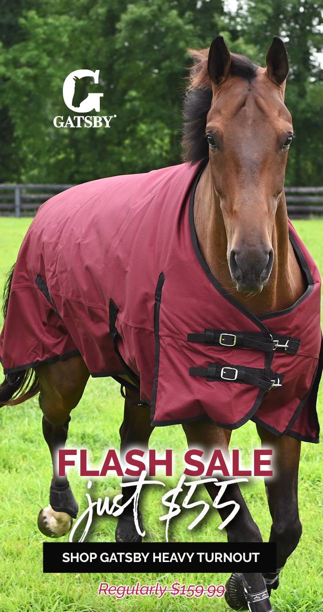 Gatsby 1200D HW Turnout Blanket NOW JUST $55