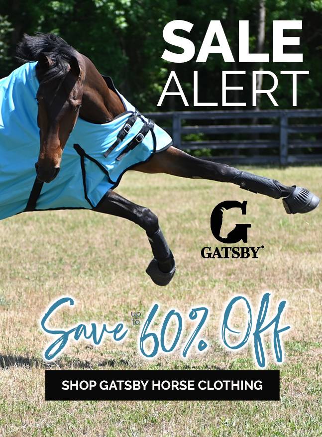 Shop Gatsby Horse Clothing Up to 60% OFF