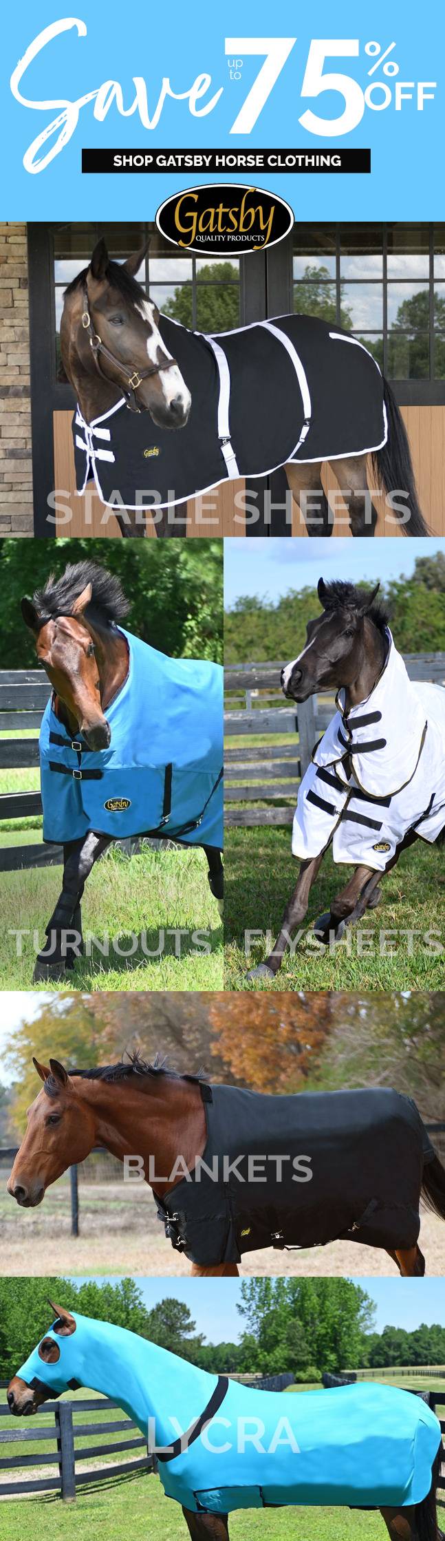 Mid-Winter Blanket Deals