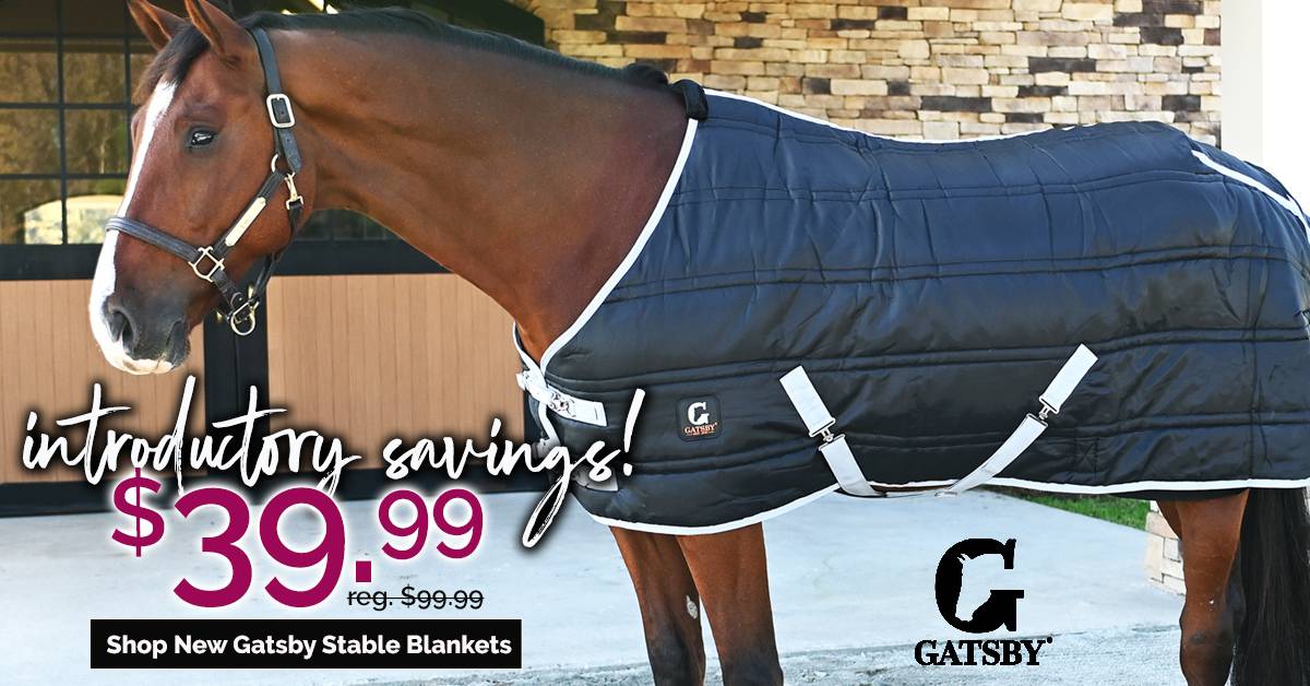 NEW! Gatsby 400g Stable Blanket Perfect For Cold-Winter Weather