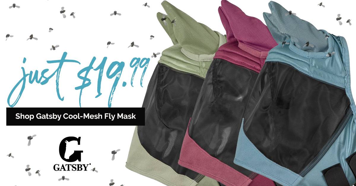 Gatsby Cool-Mesh Fly Mask 4 Sizes - 8 Colors JUST $19.99