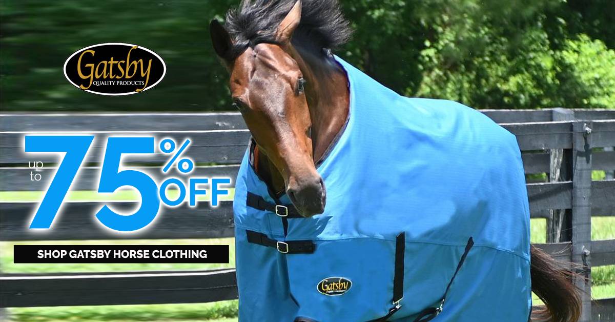Mid-Winter Blanket Deals