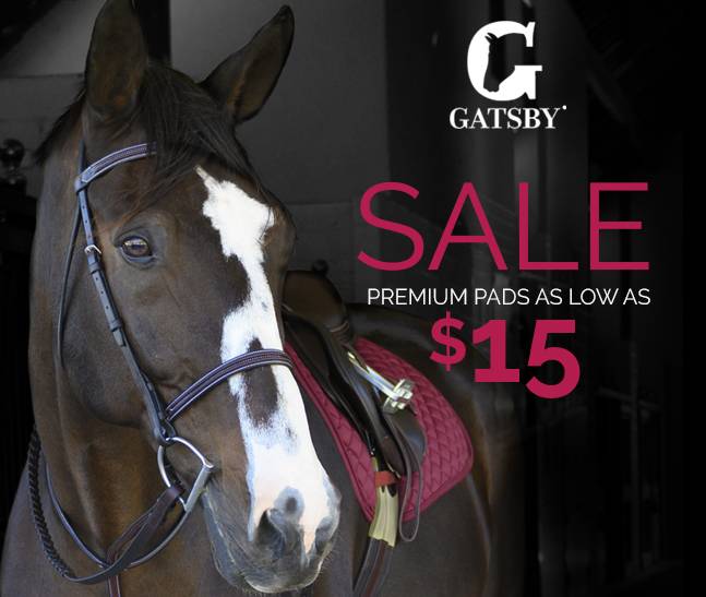 Gatsby Premium Pads 4 Styles as low as $15.00