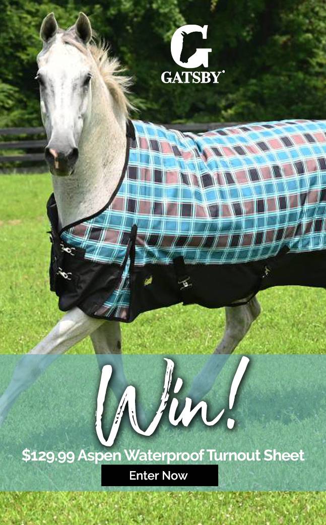 Gatsby Limited-Edition Aspen Turnout