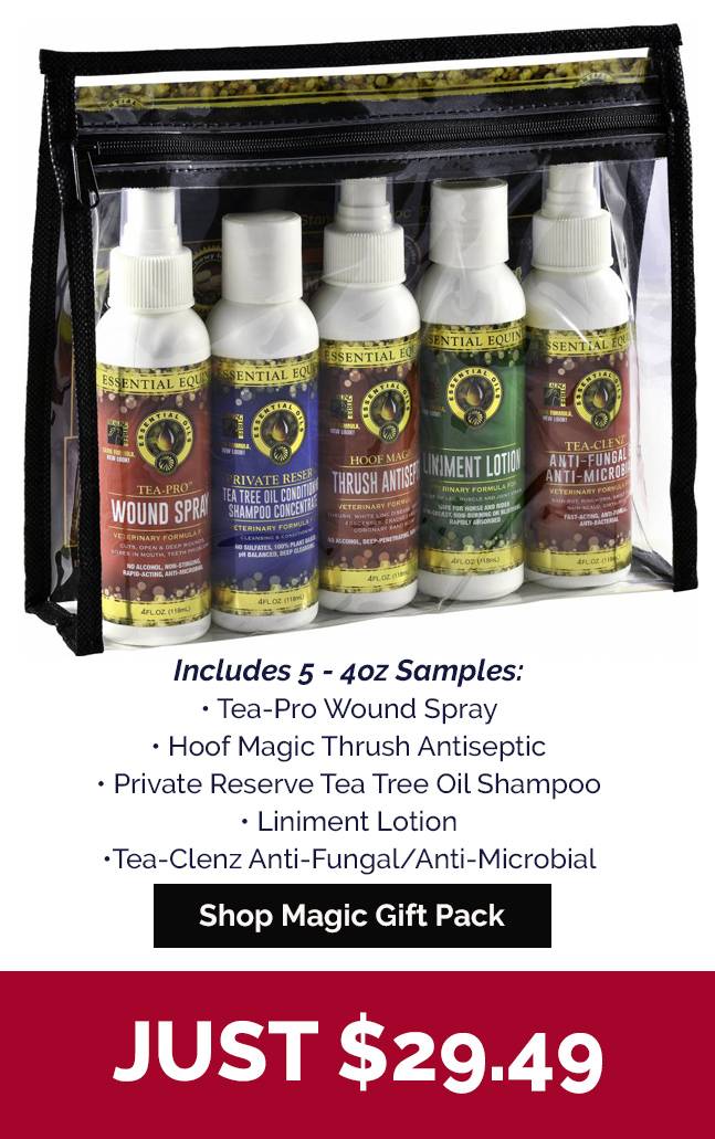 Magic Gift Pack