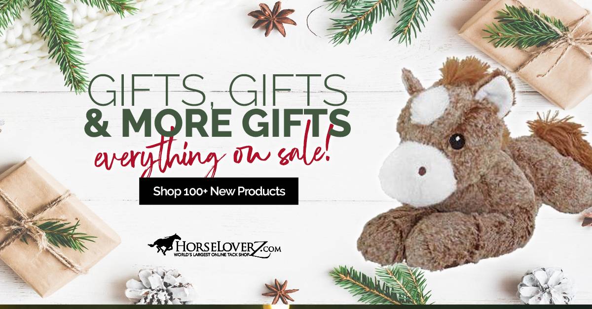 Holiday Gift Guide Shop 250+ Gift Ideas