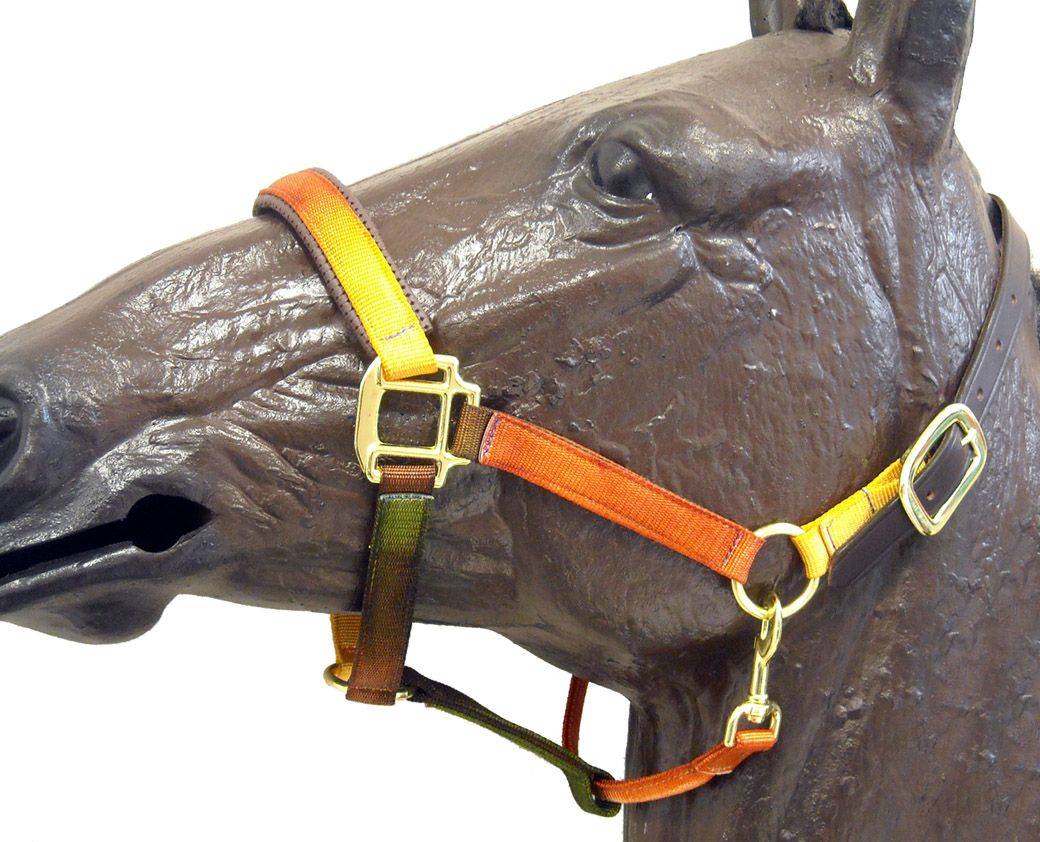 tan breakaway horse halter