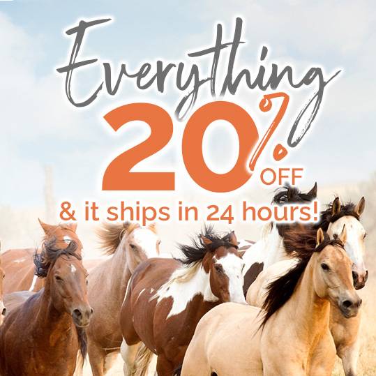 Everything Ships In 24-Hours<br>Plus 20% OFF Your Order*