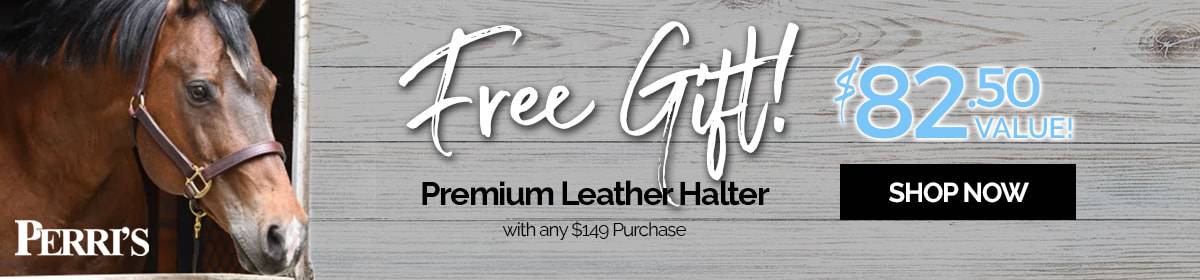 FREE $82.50 Leather Halter