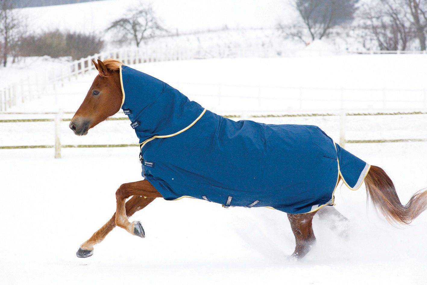 Rambo Original Turnout Blanket - 100 grams