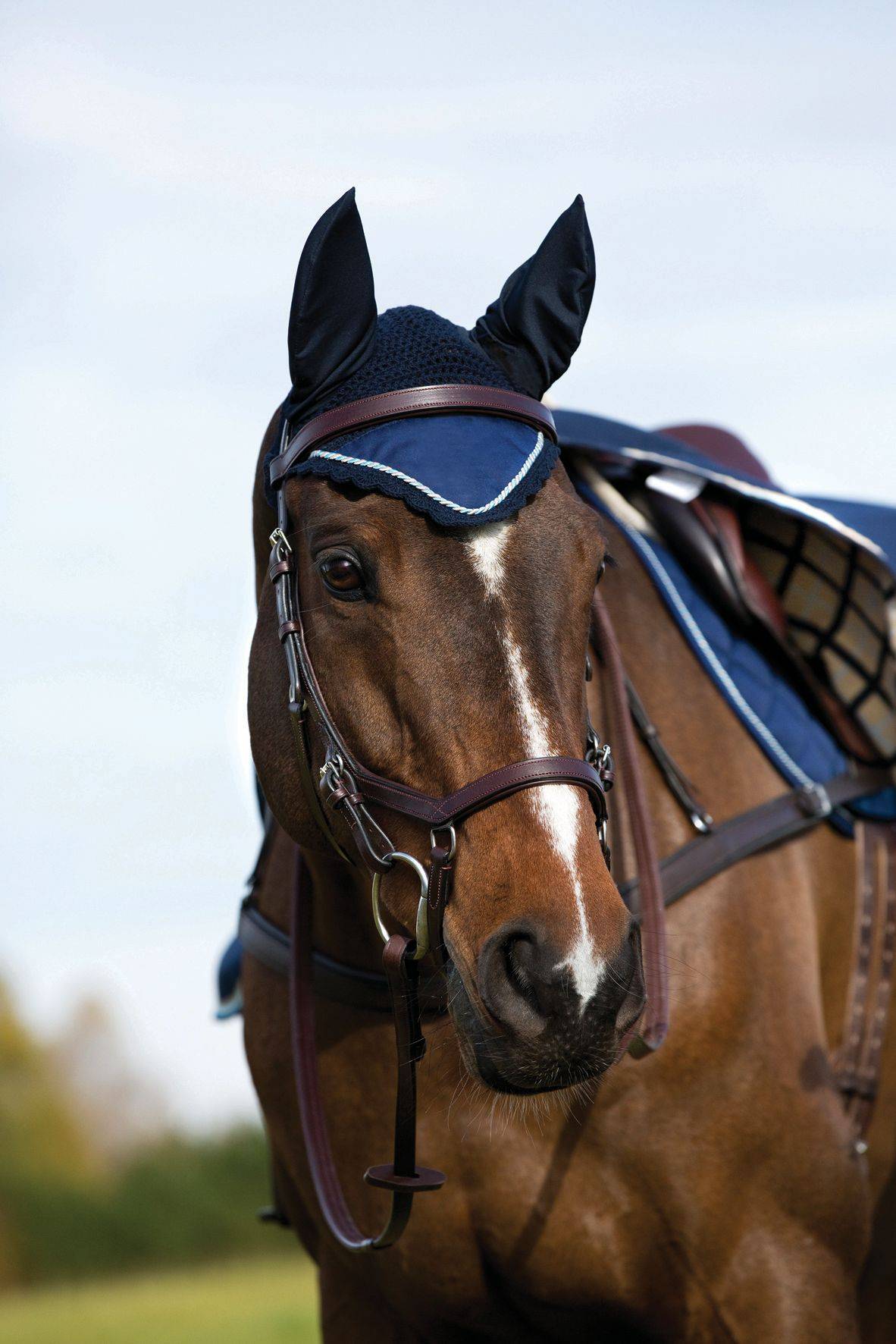 Rambo Grand Prix Ear Net