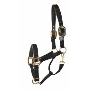 MEMORIAL DAY BOGO: Gatsby Premium Nylon Halter with Padded Leather Overlay - YOUR PRICE FOR 2