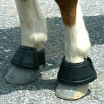 Miniature Horse Bell Boots
