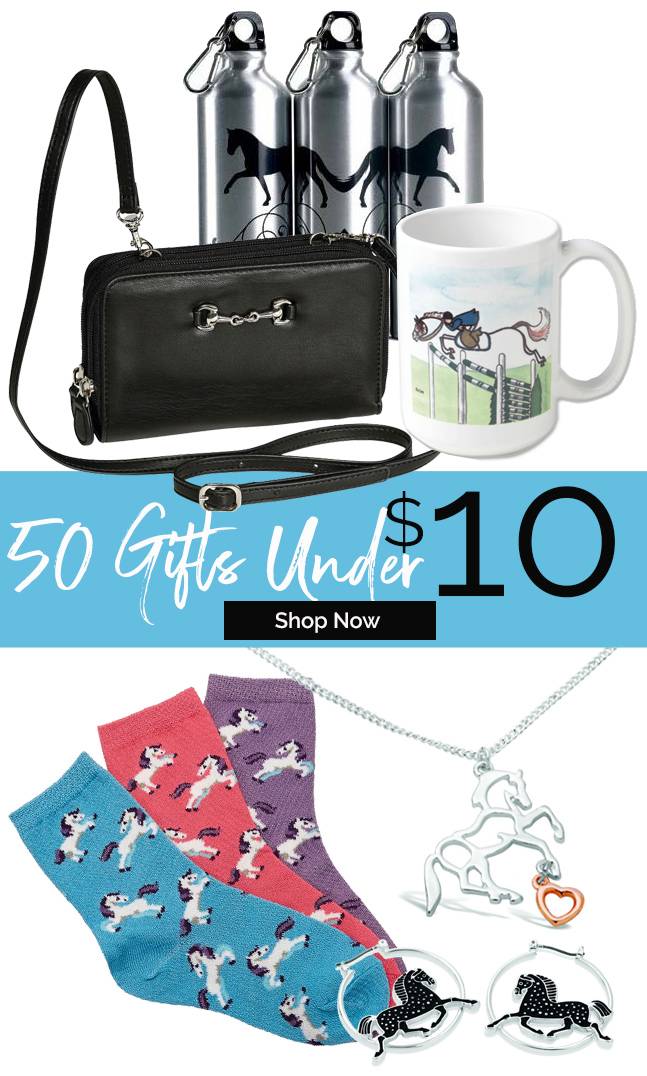 Seasonal Gift Giving Deals 50+ Products Under $10