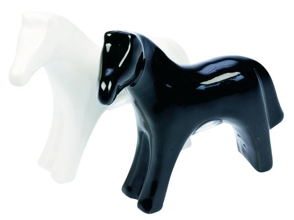 Salt And Pepper Shaker