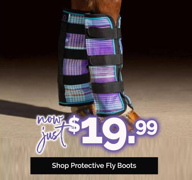 Protective Fly Boots With Web Trim Just $19.99 - Save 50% OFF