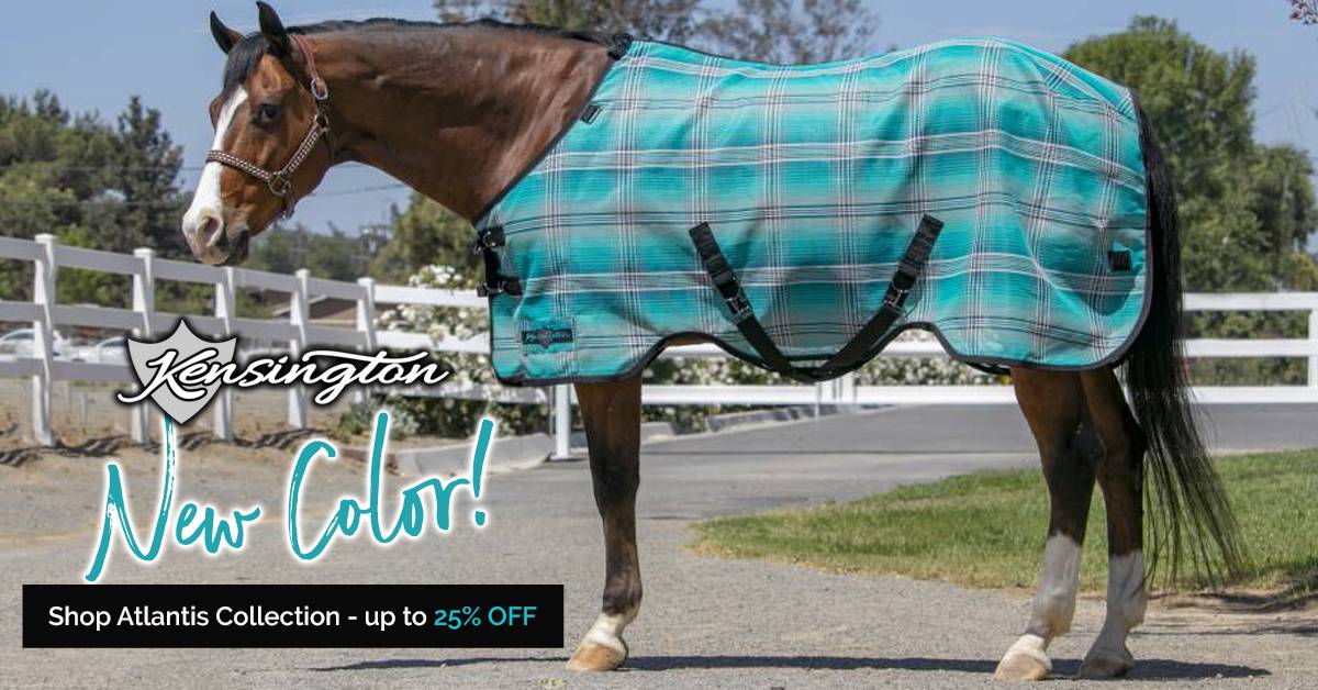 NEW! Kensington Atlantis Collection Shop 50+ Matching Products Up to 25% OFF