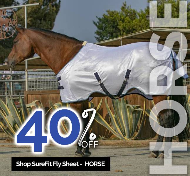 Horse Size