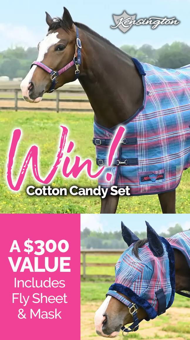 Kensington Cotton Candy Fly Set Valued at $300