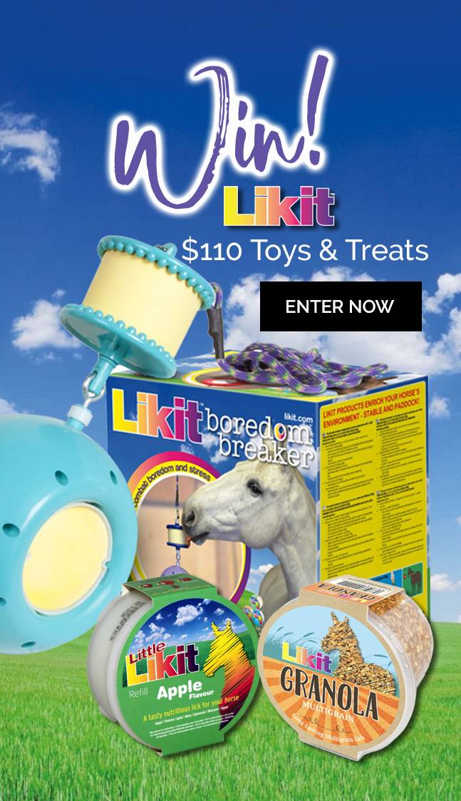 Enter to Win! Likits Toys & Treats - Valued at $110
