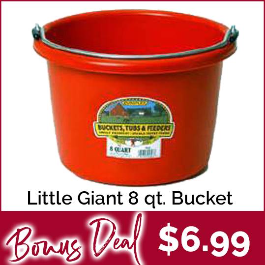Little Giant Plastic Bucket - 8 Quart Just $6.99