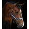 Perri's Ribbon Safety Halter - Made in the USA- Jumper