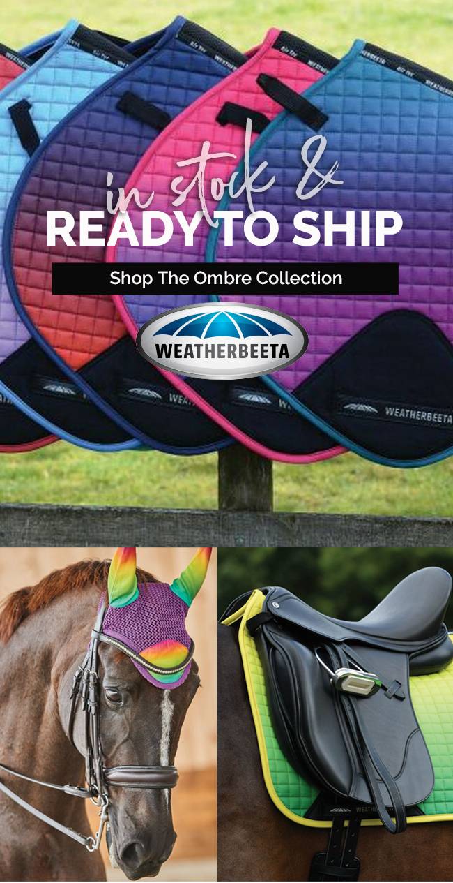 Just Arrived! WeatherBeeta Ombre Collection - Shop Now